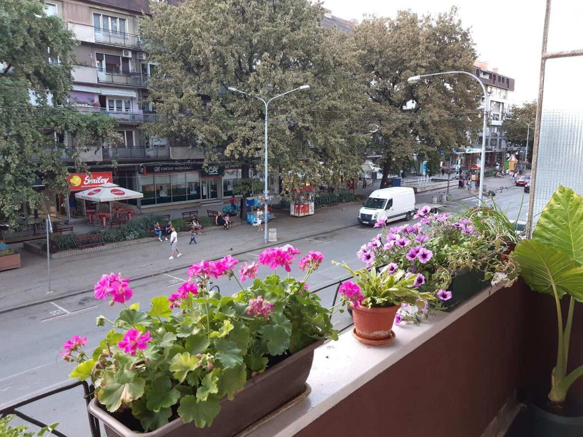 Apartman Nada Požarevac Exterior foto